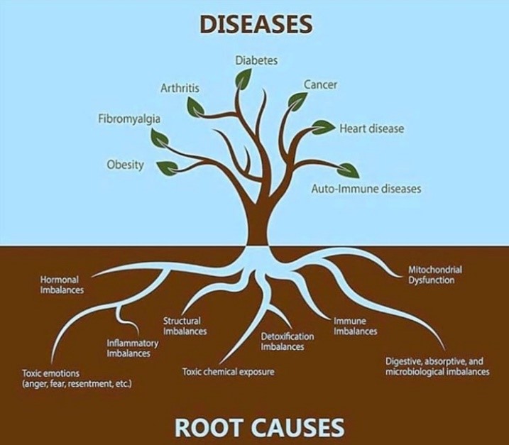 Root-Causes.jpg